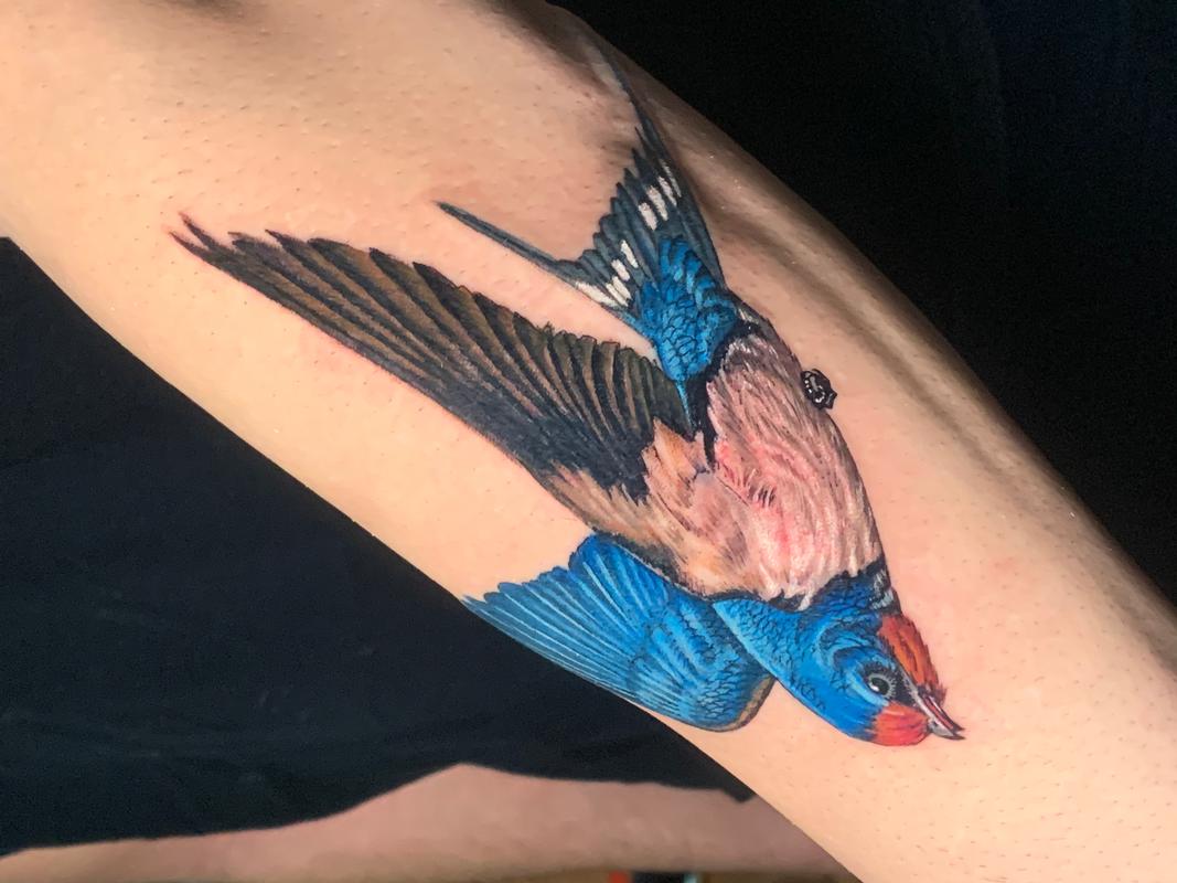 Realistic Blue Sparrow Tattoo Forearm
