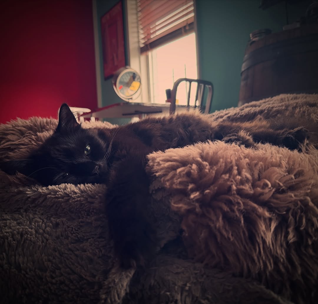 Gloomy outside, cozy inside