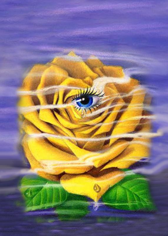 Friendship Rose Crying