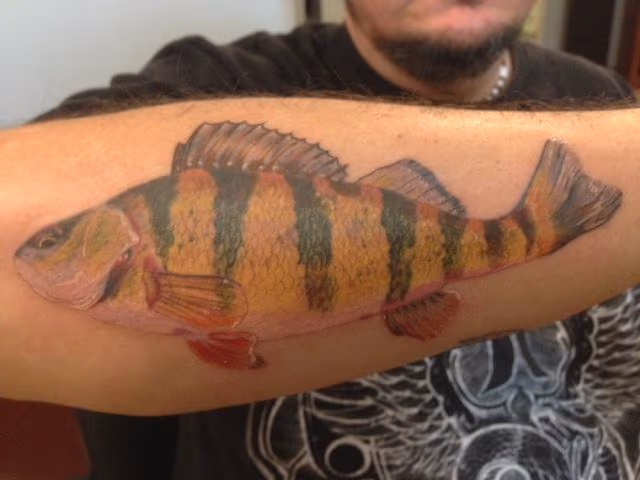 Perch