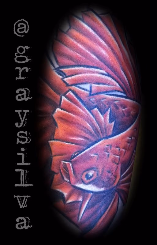 Fighting fish