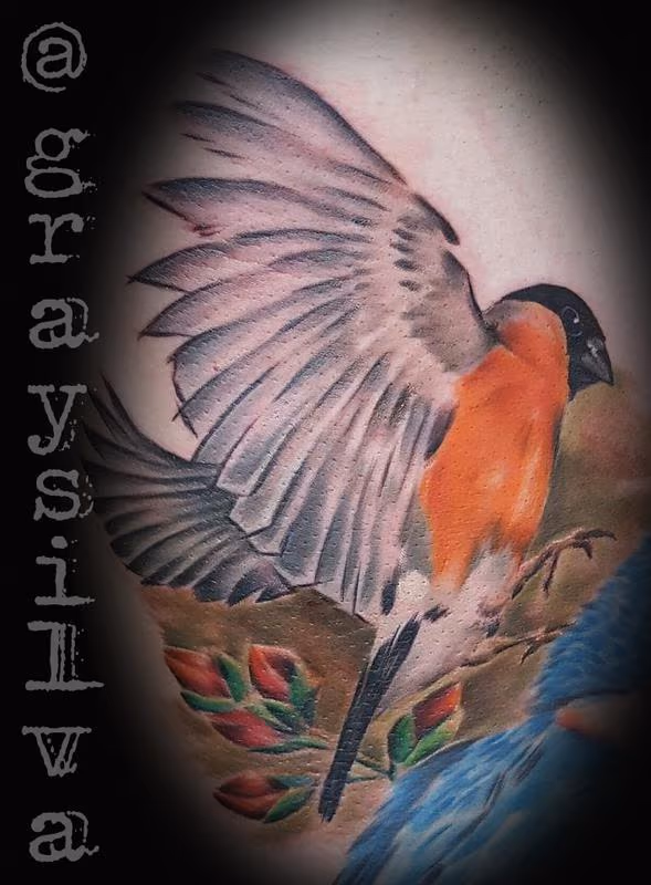 Bullfinch