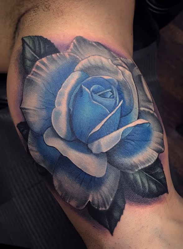 Blue Rose