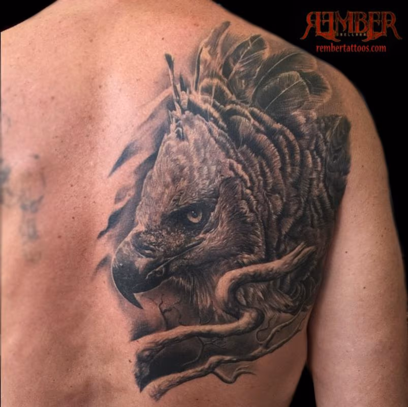 Black and Grey Realism Harpy Eagle
