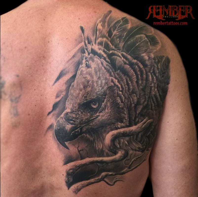 Black and Grey Realism Harpy Eagle