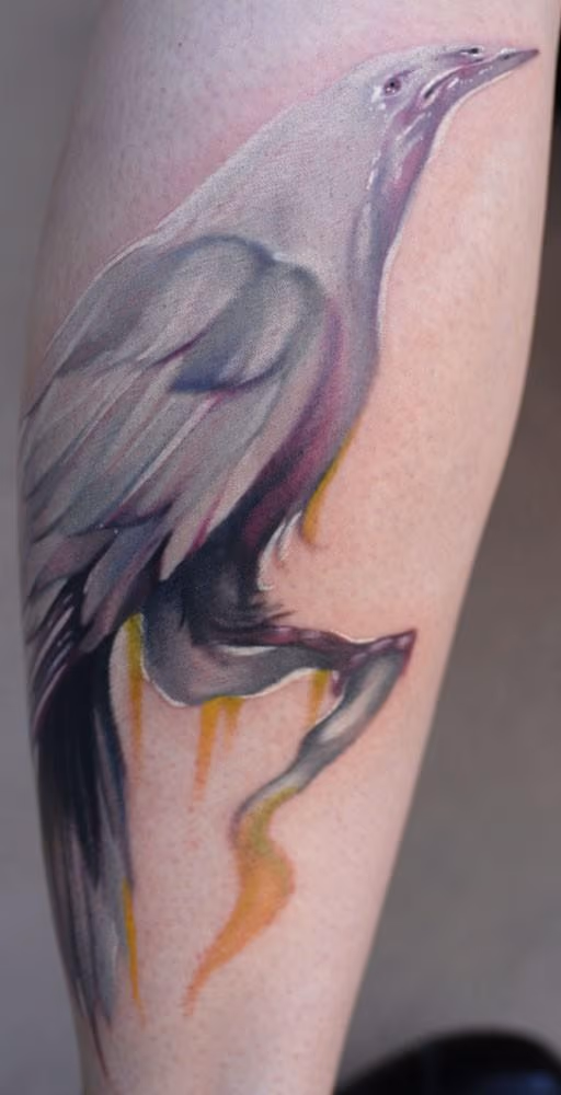 Hussar Raven