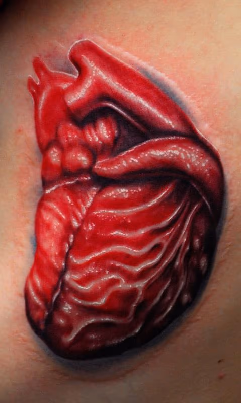 Heart