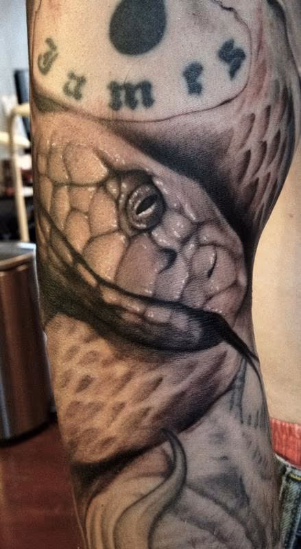 Snake