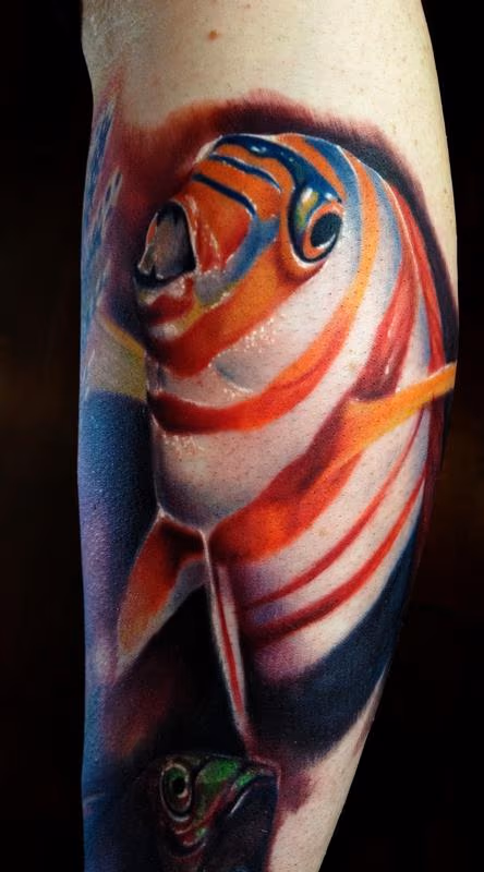 Clown Fish
