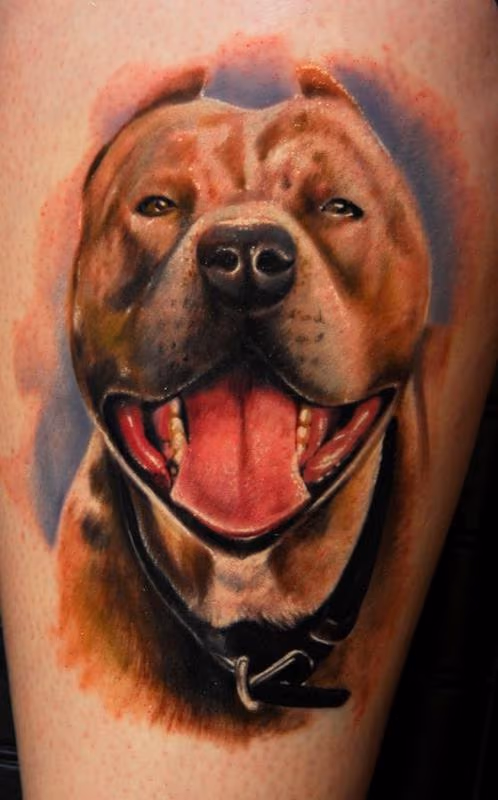 Dog Portrait