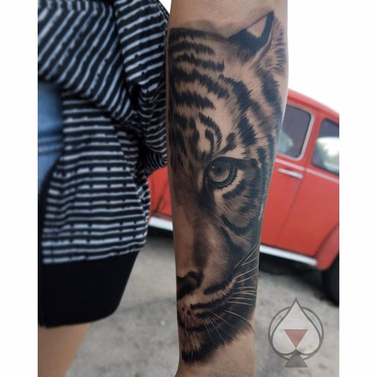 Black and grey Tiger