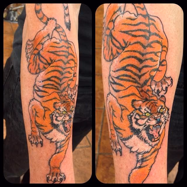 Arm Tiger Color