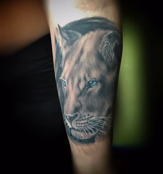 bng animal portrait