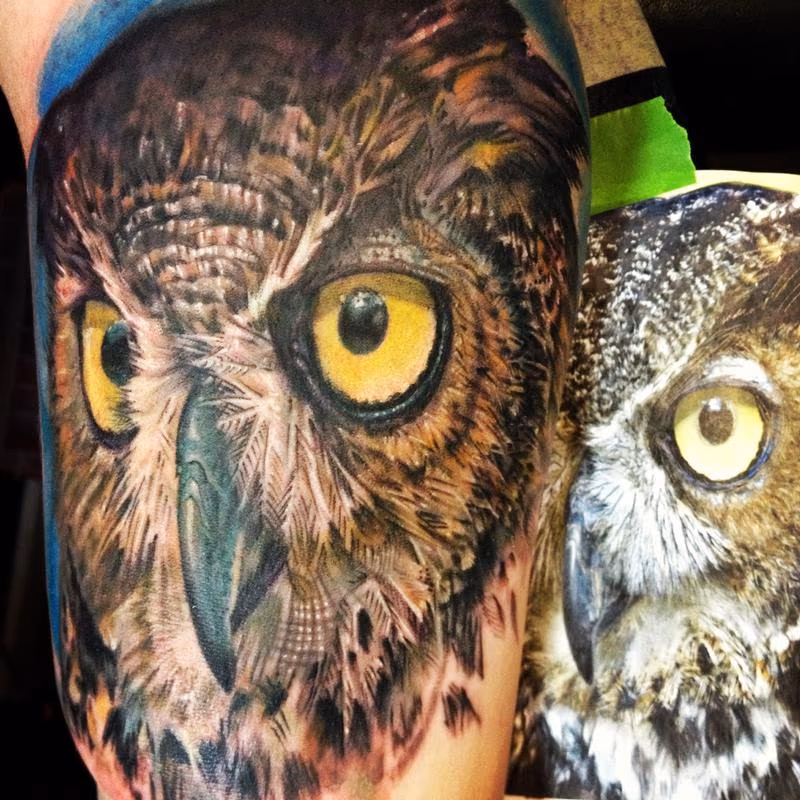 Duque Real- Owl