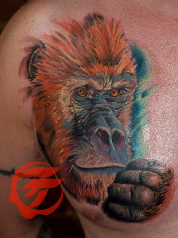 Gorilla