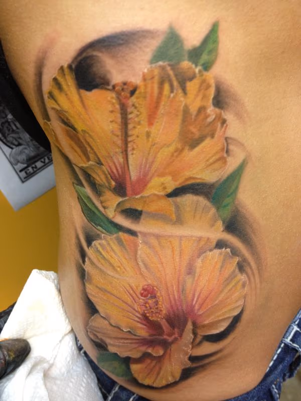 Hibiscus flowers