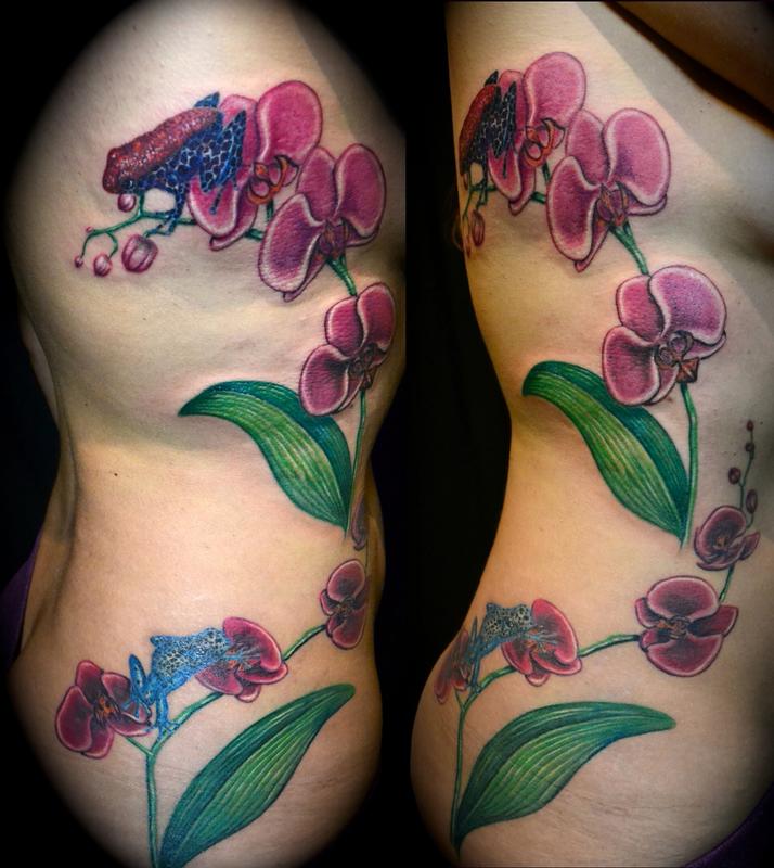 Orchids and Poison Dart Frogs