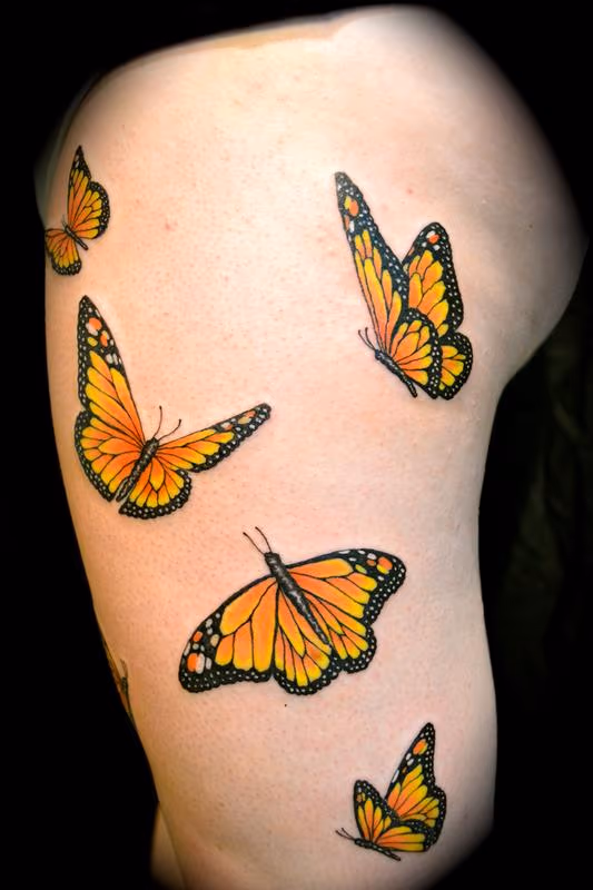 Monarch Butterflies
