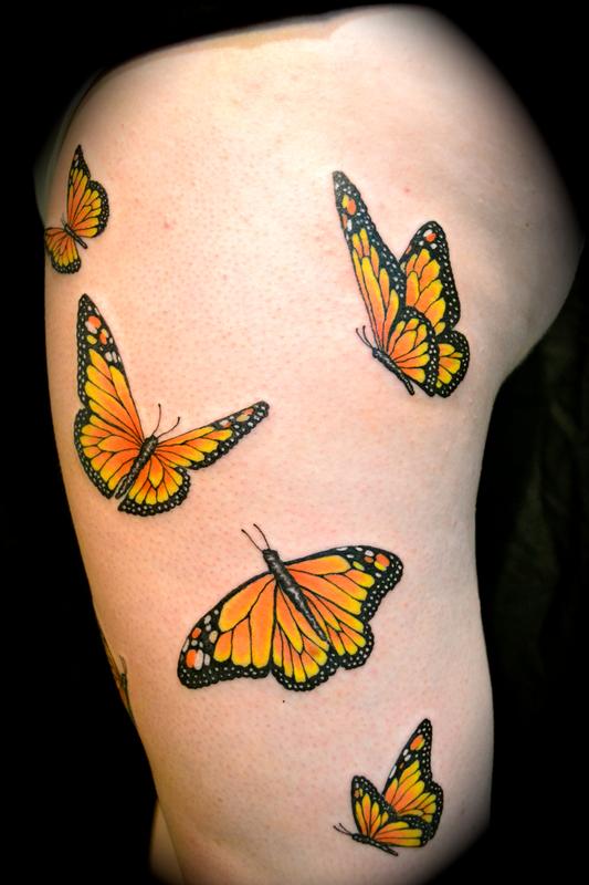 Monarch Butterflies