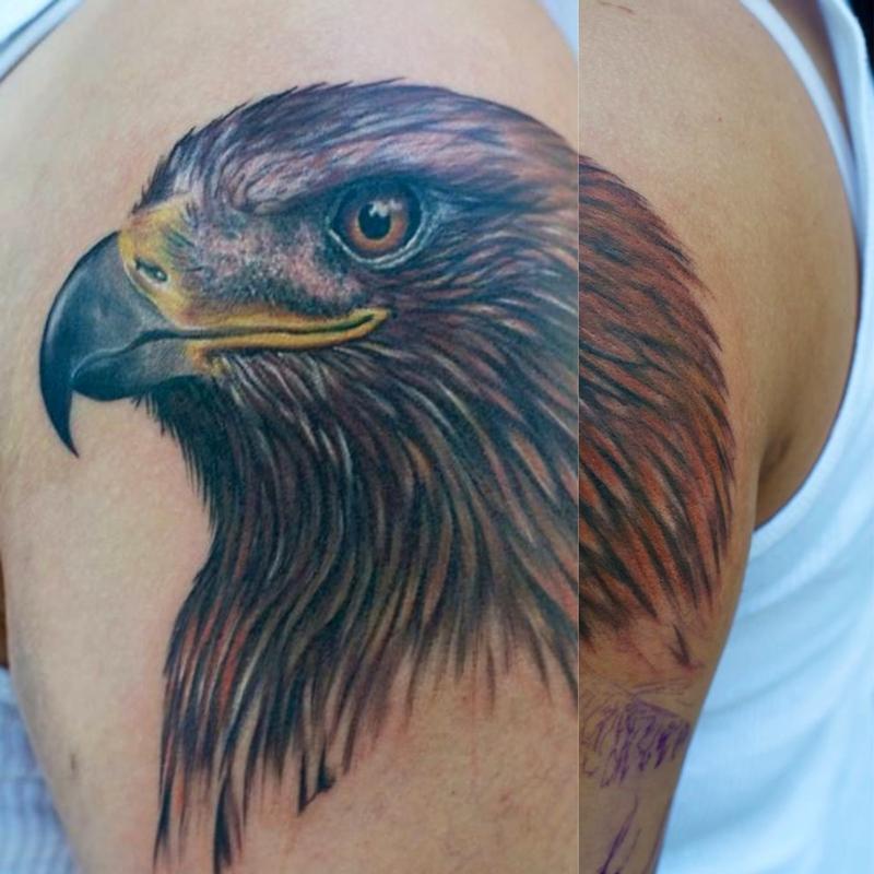 Golden Eagle Aguila
