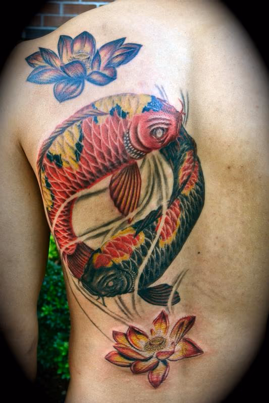 Yin Yang Koi and Lotus