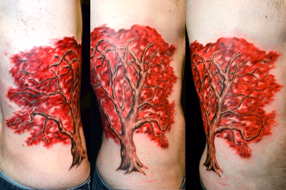Red Japanese Maple Tree