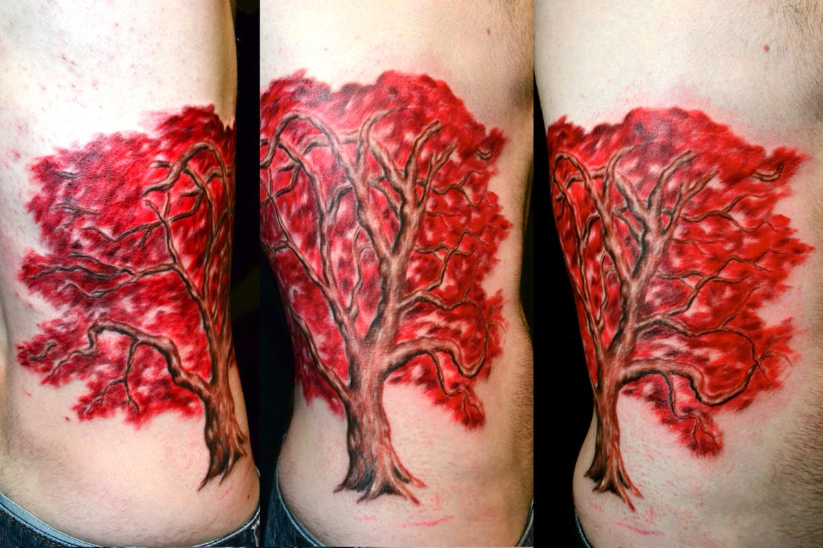 Red Japanese Maple Tree
