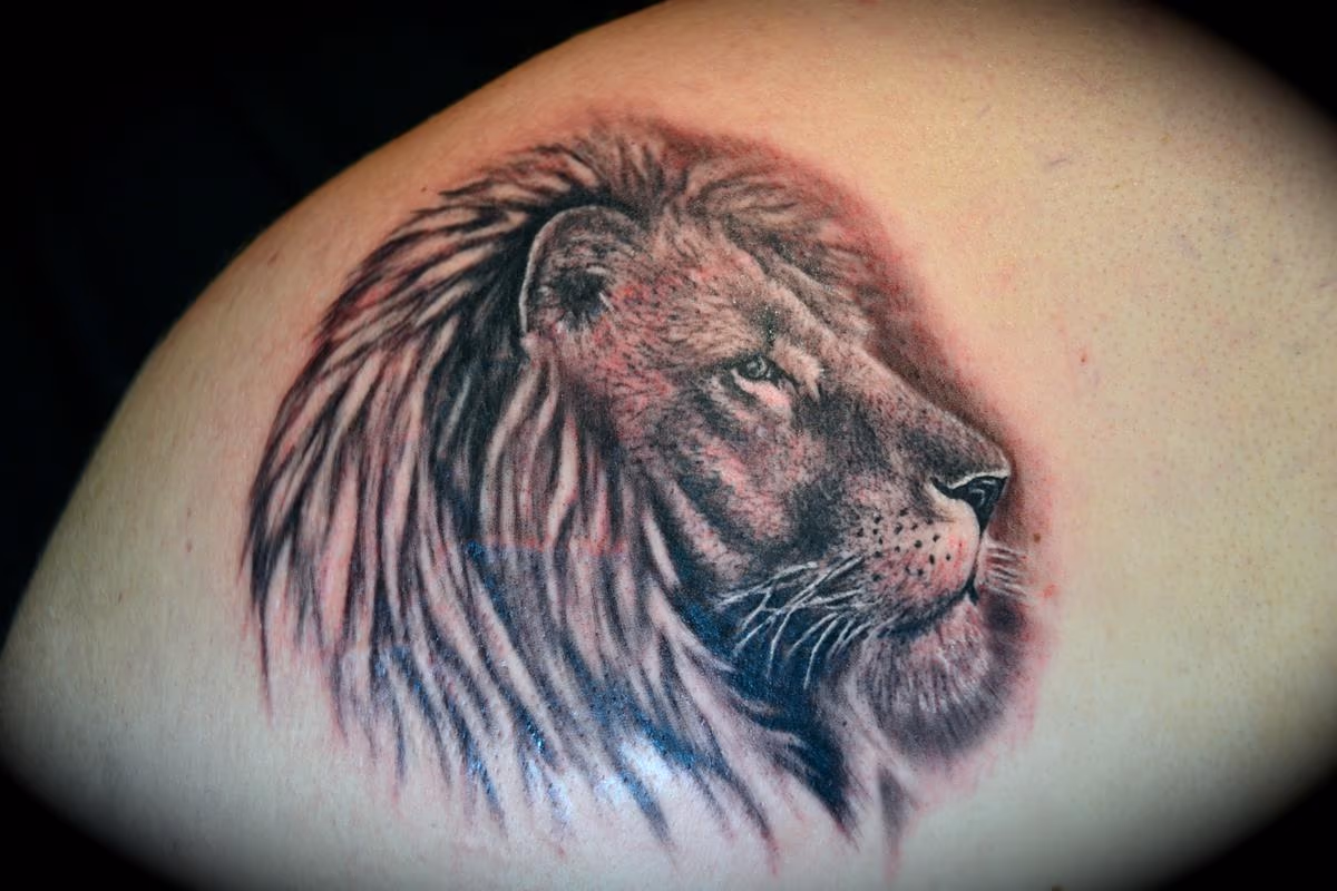 Lion