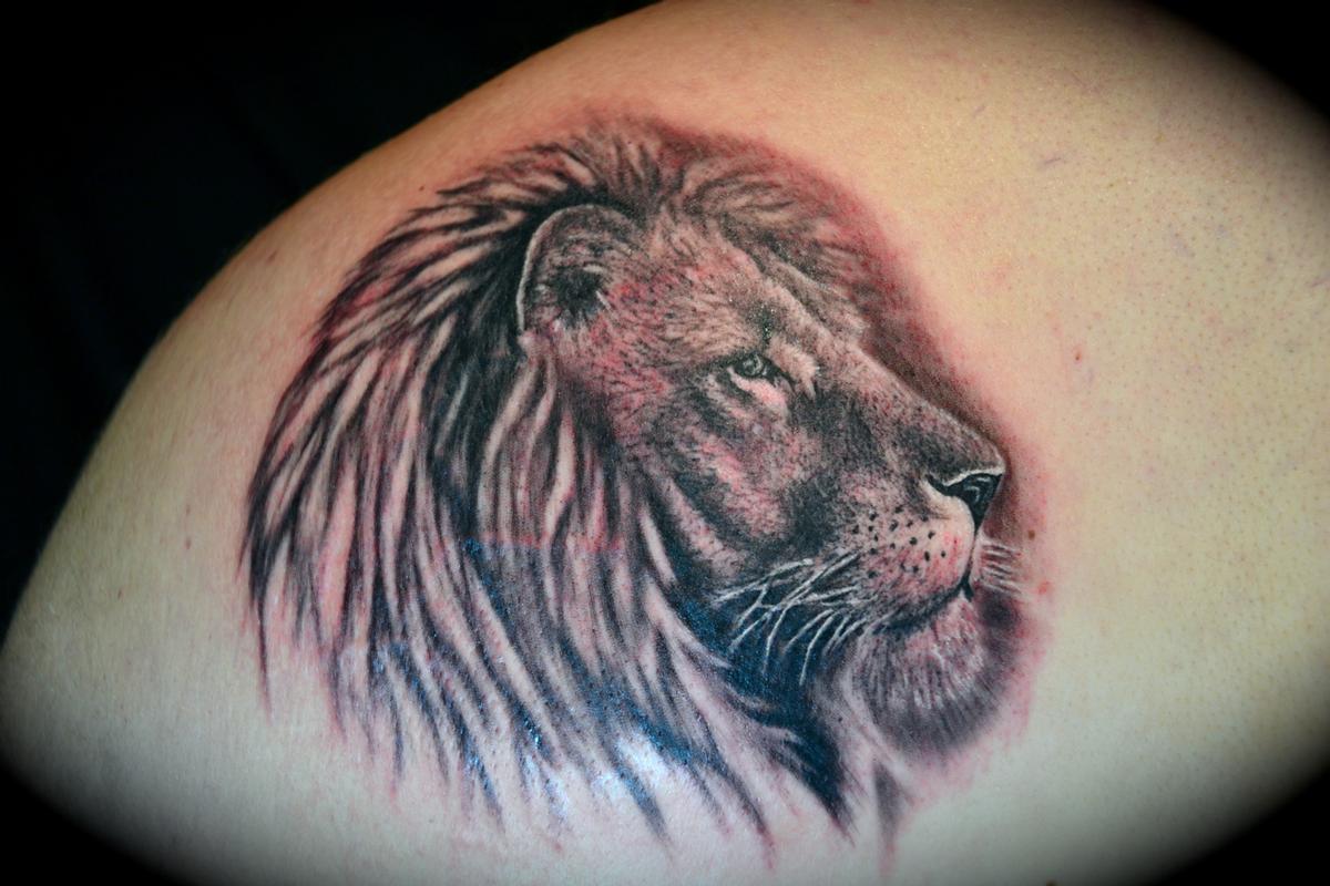 Lion