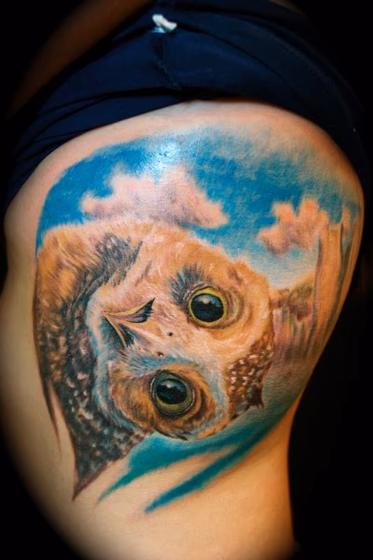 "Digger" Burrowing Owl