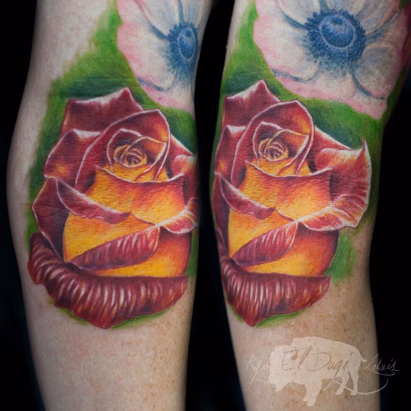 Red & Yellow Rose