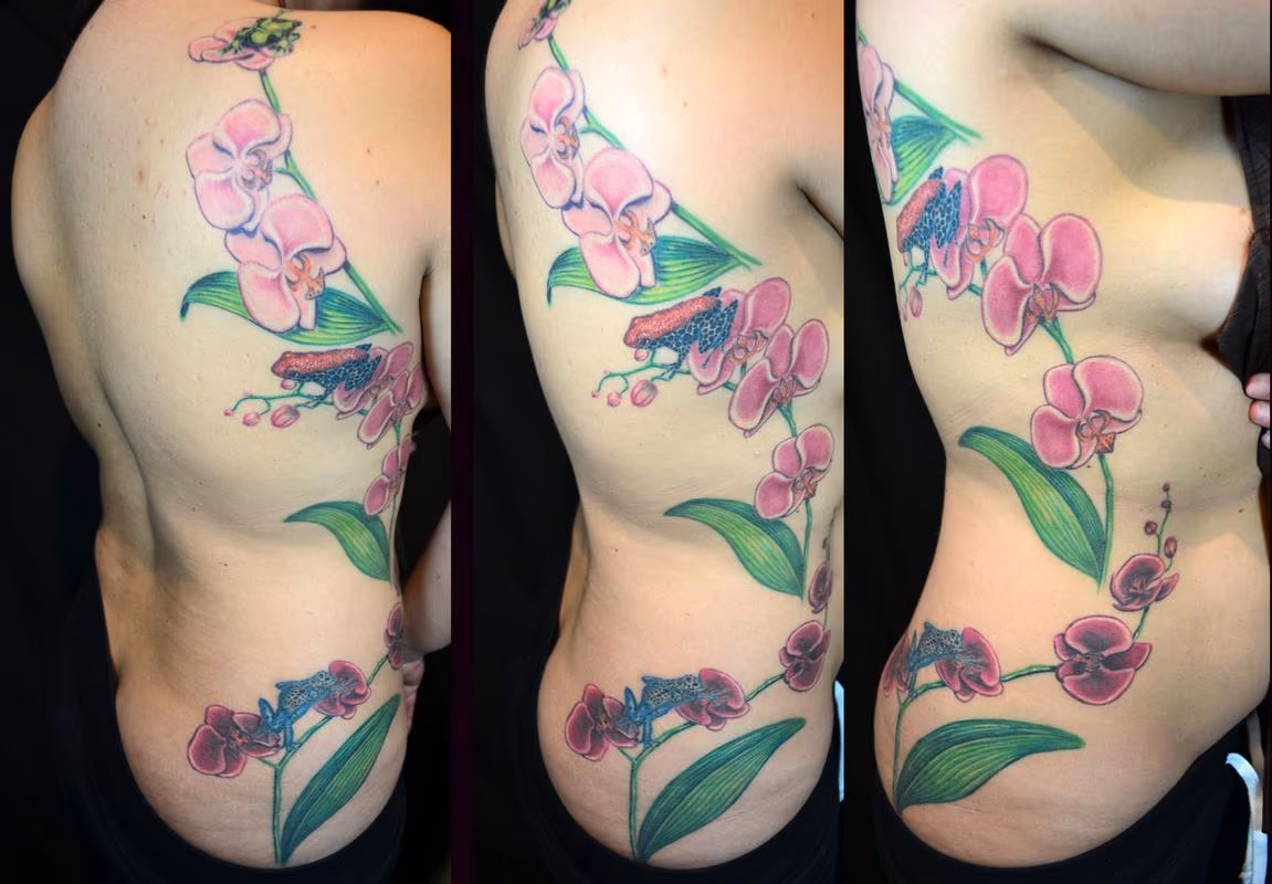 Orchids and Poison Dart Frogs