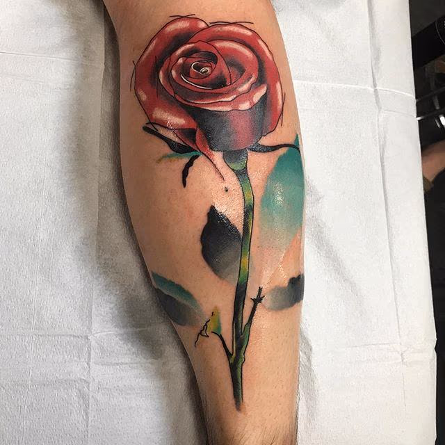 Illustrative Rose