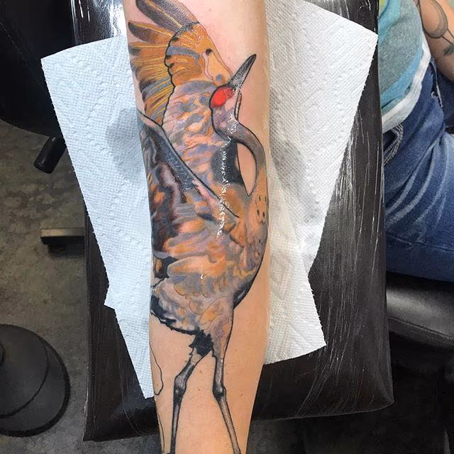 Illustrative Bird