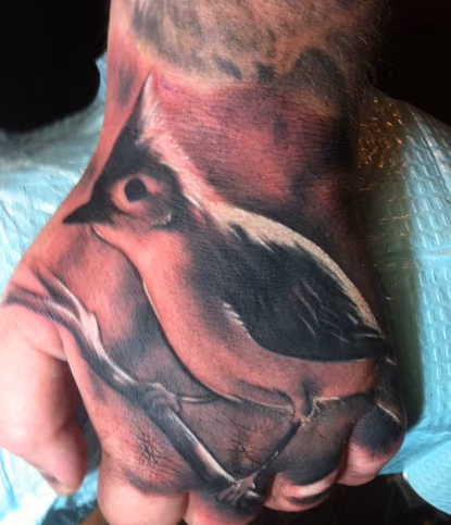 Bird