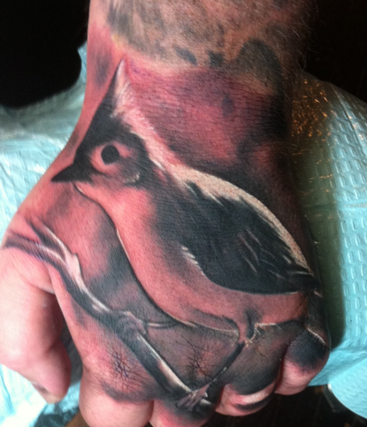 Bird
