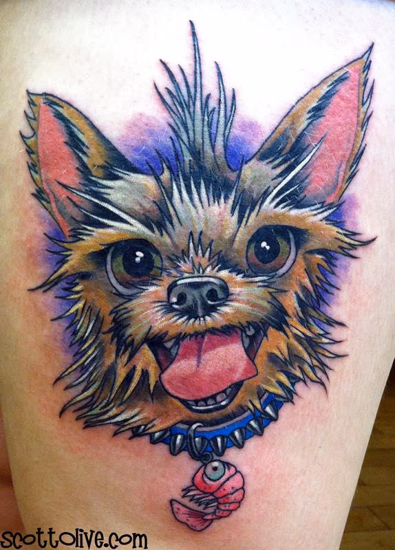 shrimp yorkie