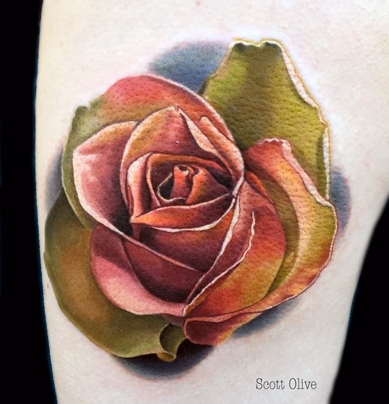 Color Realism Rose
