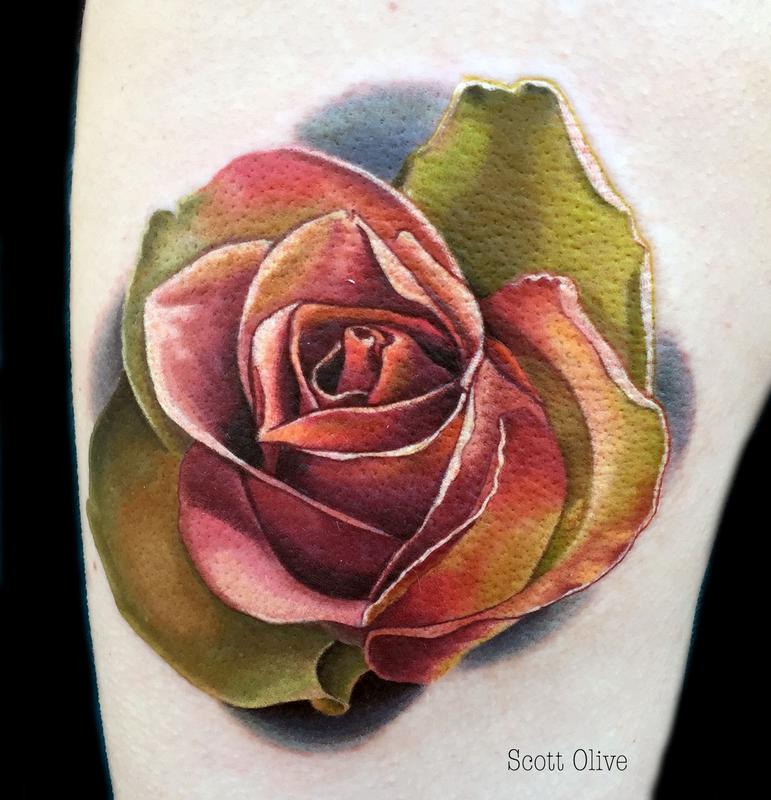 Color Realism Rose