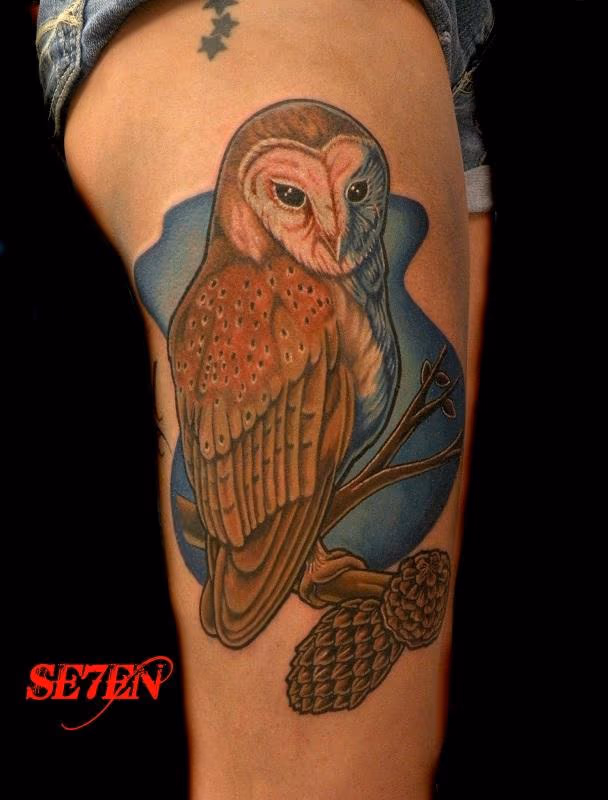 Barn Owl