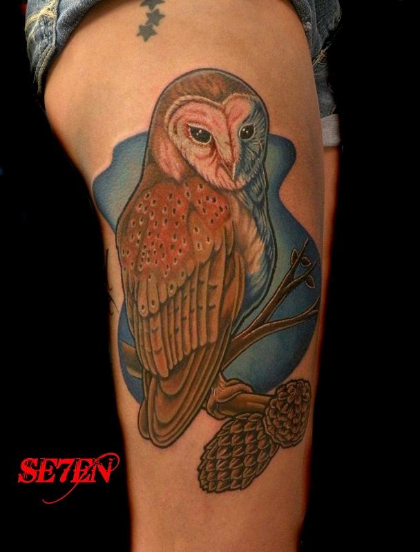 Barn Owl