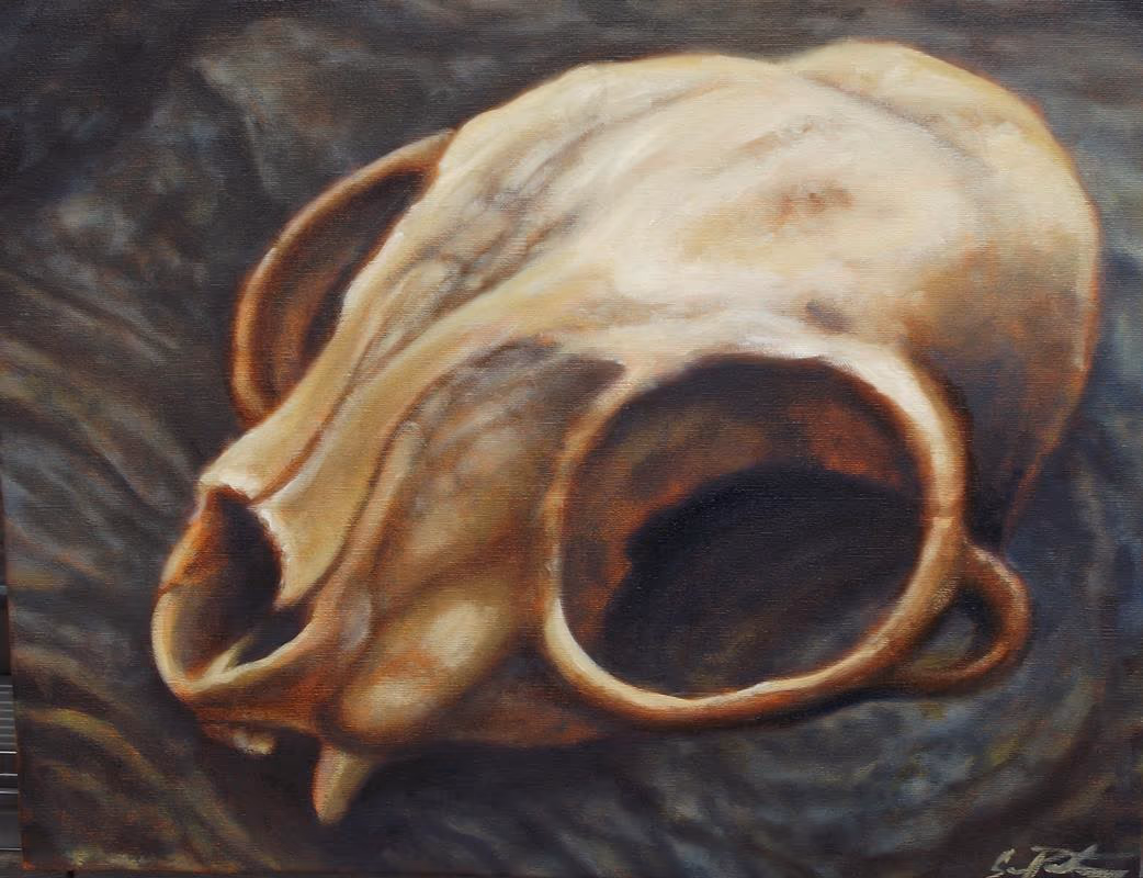 Cat Skull