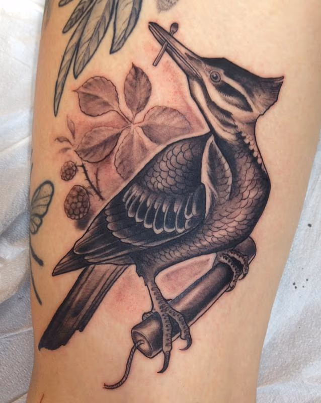 Woodpecker