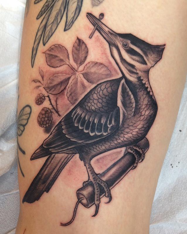 Woodpecker