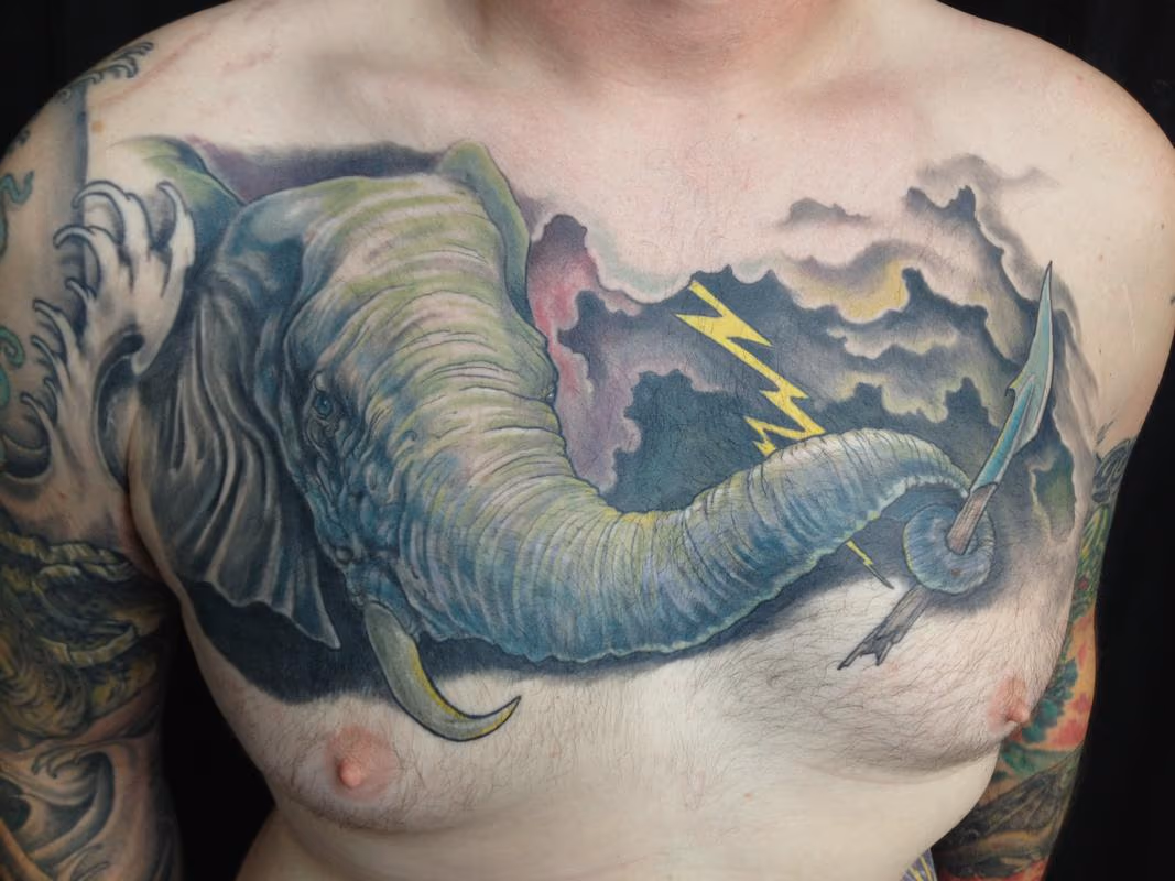 Elephant and Storm