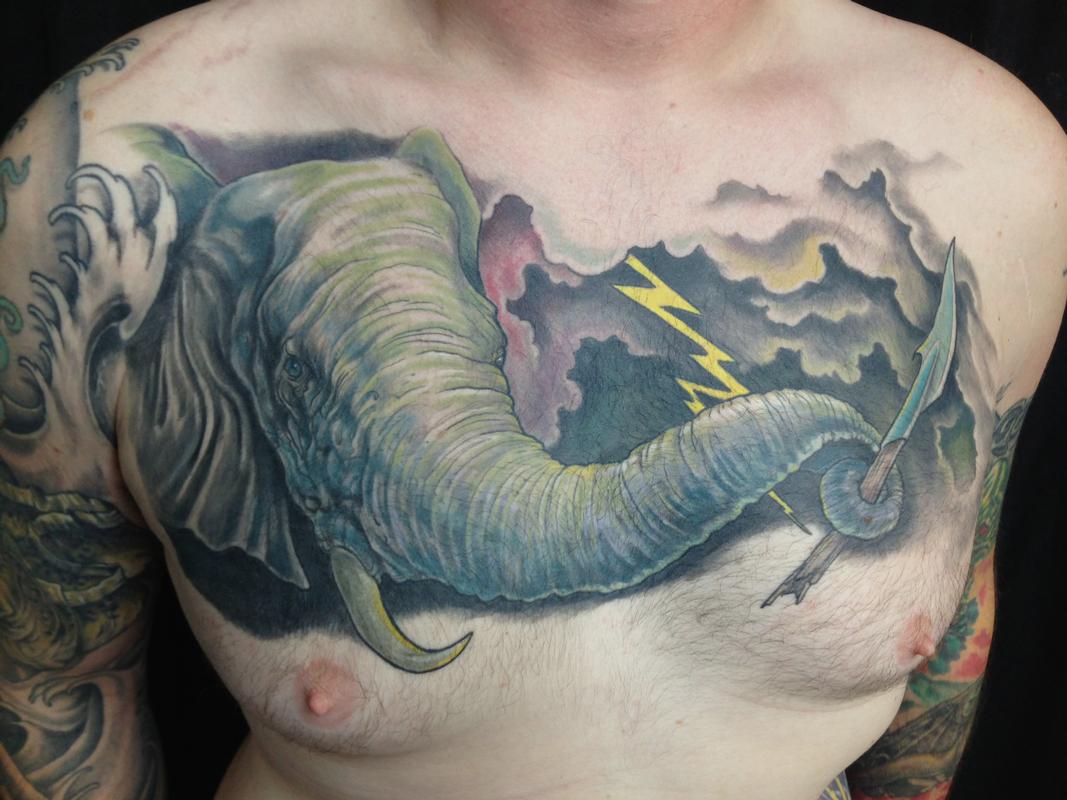 Elephant and Storm