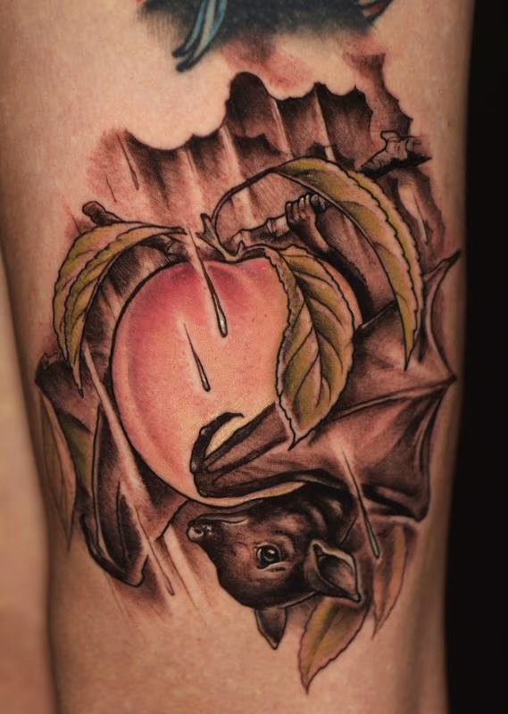 Fruit Bat