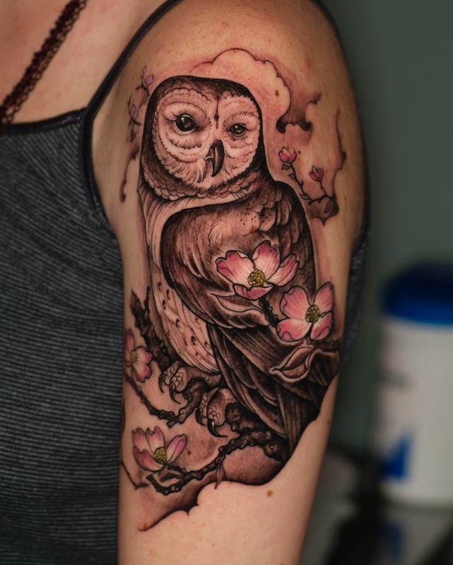 Owl and Dogwwods