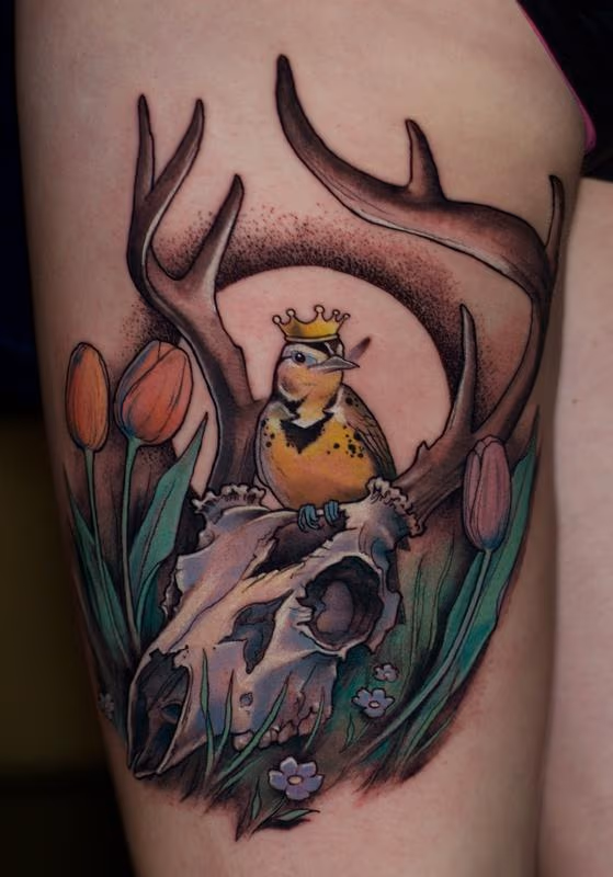 Bird on a skull