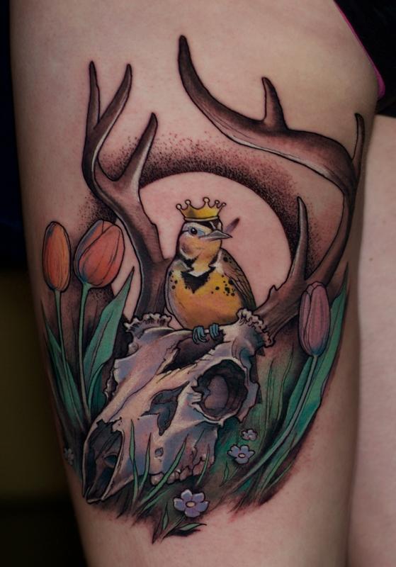 Bird on a skull